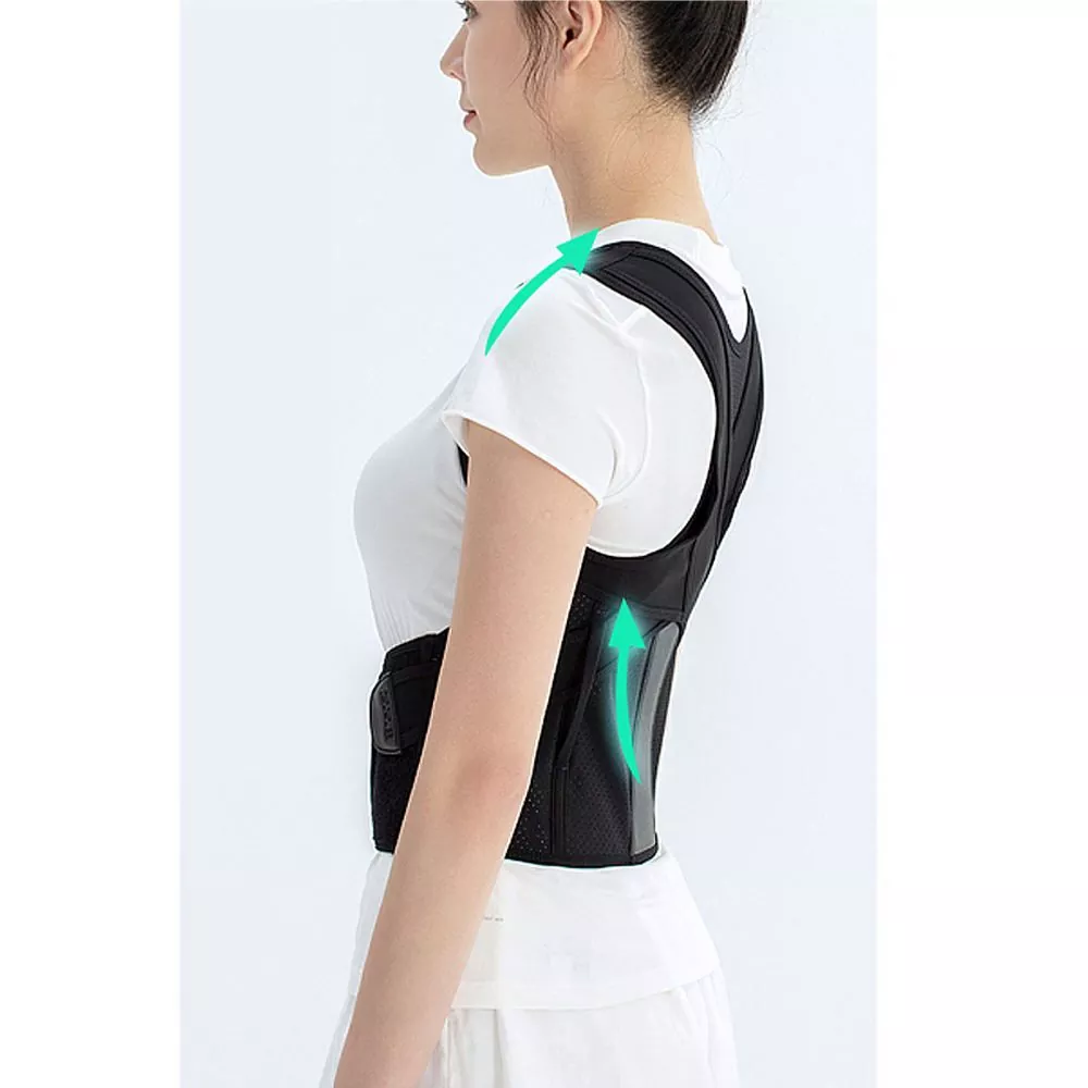 Correcteur de posture pour attelle dorsale pour scoliose